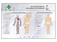 Электрифицированный стенд "Остановка кровотечения" - fgospostavki.ru - Ногинск