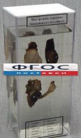 Влажный препарат "Внутреннее строение брюхоногого моллюска" - fgospostavki.ru - Ногинск