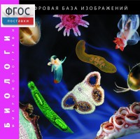 Биология. Микрофотографии. (Цифровая база изображений) - fgospostavki.ru - Ногинск