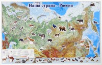 Магнитные карточки "Животные" - fgospostavki.ru - Ногинск