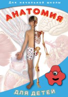 DVD "Анатомия для детей" - fgospostavki.ru - Ногинск