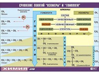 Таблица демонстрационная "Сравнение понятий изомер и гомолог" (винил 70x100) - fgospostavki.ru - Ногинск