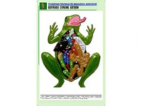 Рельефная таблица "Внутреннее строение лягушки" (формат А1, матовое ламинирование) - fgospostavki.ru - Ногинск