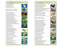 Комплект карточек (10) "Обучающий калейдоскоп. Природа" - fgospostavki.ru - Ногинск