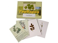 Гербарий "Деревья и кустарники" (22 вида, с иллюстрациями) - fgospostavki.ru - Ногинск