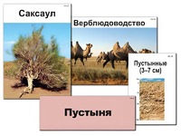 Модель-аппликация "Природные зоны России" (ламинированная) - fgospostavki.ru - Ногинск