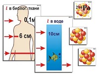 Модель-аппликация "Явление радиоактивности" (ламинированная) - fgospostavki.ru - Ногинск