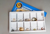 Коллекция "Раковины моллюсков" - fgospostavki.ru - Ногинск