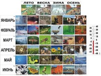 Фенологические наблюдения - fgospostavki.ru - Ногинск