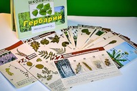 Гербарий к курсу основ общей биологии - fgospostavki.ru - Ногинск