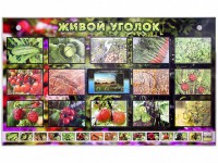 Комплект оборудования "Живой уголок" (растения) с тифлопереводом и сурдокомментариями - fgospostavki.ru - Ногинск