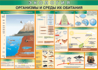 Таблица "Организмы и среды их обитания" (100х140 сантиметров, винил) - fgospostavki.ru - Ногинск