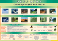 Таблица "Экология. Обобщающие таблицы" (100х140 сантиметров, винил) - fgospostavki.ru - Ногинск