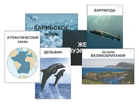 Модель-аппликация "Океаны. Знакомство" (ламинированная) - fgospostavki.ru - Ногинск