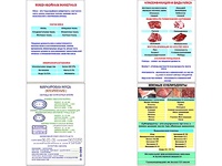 Плакаты ПРОФТЕХ "Классификации и виды мяса" (4 пл, винил, 70х100) - fgospostavki.ru - Ногинск
