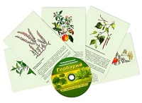 Интерактивный наглядный комплекс "Гербарий "Для начальной школы" - fgospostavki.ru - Ногинск
