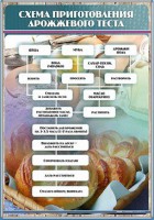 Стенд "Схема приготовления дрожжевого теста" - fgospostavki.ru - Ногинск