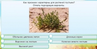Интерактивные курсы. Окружающий мир 3 класс . Базовый. - fgospostavki.ru - Ногинск