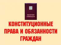 Комплект плакатов "Конституционные права и обязанности граждан" - fgospostavki.ru - Ногинск