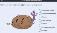 Интерактивные курсы. Биология 6 класс. Расширенный - fgospostavki.ru - Ногинск