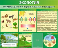 Стенд "Экология. Организация и функционирование сообществ" - fgospostavki.ru - Ногинск