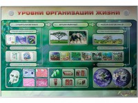 Электрифицированный стенд "Уровни организации жизни" - fgospostavki.ru - Ногинск
