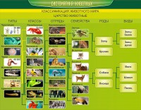 Стенд "Систематика животных" - fgospostavki.ru - Ногинск