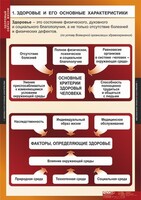 Комплект таблиц. ОБЖ. Здоровый образ жизни. - fgospostavki.ru - Ногинск