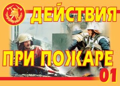 Комплект плакатов "Действия при пожаре" - fgospostavki.ru - Ногинск