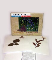 Гербарий "Дикорастущие растения" (28 видов) - fgospostavki.ru - Ногинск