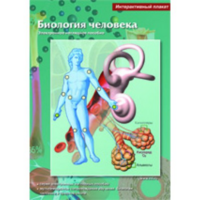 Интерактивные плакаты. Биология человека. Программно-методический комплекс - fgospostavki.ru - Ногинск