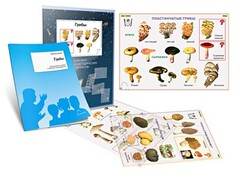 Комплект кодотранспарантов "Грибы" - fgospostavki.ru - Ногинск