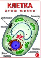DVD "Клетка - "атом жизни" - fgospostavki.ru - Ногинск
