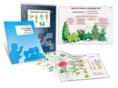 Комплект кодотранспарантов "Культурные растения" - fgospostavki.ru - Ногинск