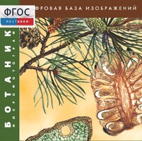 Ботаника. Микрофотографии. (Цифровая база изображений) - fgospostavki.ru - Ногинск