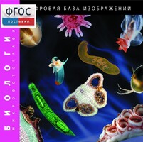 Биология. Микрофотографии. (Цифровая база изображений) - fgospostavki.ru - Ногинск