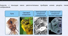 Интерактивные курсы. Биология 5 класс. Расширенный - fgospostavki.ru - Ногинск