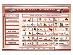 Трехсекционный базовый комплект "Травмы. Кровотечения. Ожоги" для учащихся общеобразовательных учреждений - fgospostavki.ru - Ногинск