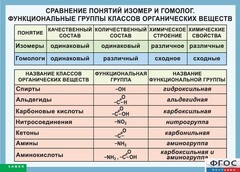 Таблица. Сравнение понятий изомер и гомолог. Функциональные группы классов органических веществ. - fgospostavki.ru - Ногинск