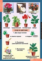 Комплект таблиц. Окружающий мир 1 класс. - fgospostavki.ru - Ногинск