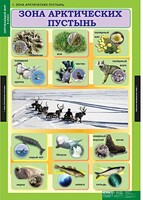 Комплект таблиц. Окружающий мир 4 класс. - fgospostavki.ru - Ногинск