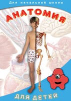DVD "Анатомия для детей" - fgospostavki.ru - Ногинск