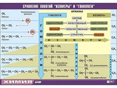Таблица демонстрационная "Сравнение понятий изомер и гомолог" (винил 70x100) - fgospostavki.ru - Ногинск
