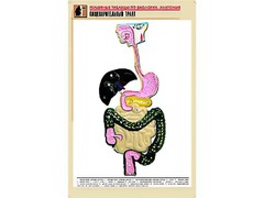 Рельефная таблица "Пищеварительный тракт" (формат А1, матовое ламинирование) - fgospostavki.ru - Ногинск