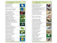 Комплект карточек (10) "Обучающий калейдоскоп. Природа" - fgospostavki.ru - Ногинск
