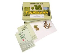 Гербарий "Для начальной школы" (30 видов, с иллюстрациями) - fgospostavki.ru - Ногинск
