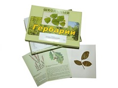 Гербарий "Дикорастущие растения" (30 видов, с иллюстрациями) - fgospostavki.ru - Ногинск