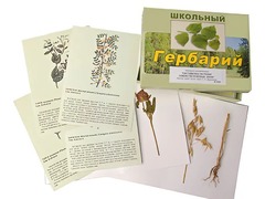 Гербарий "Систематика растений. Семейство Бобовые. Злаки" (раздаточный) - fgospostavki.ru - Ногинск