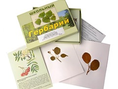 Гербарий "Систематика растений. Семейство Розоцветные" (раздаточный) - fgospostavki.ru - Ногинск