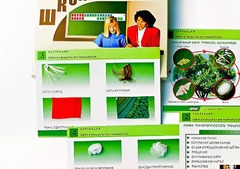 Коллекция "Шелк и продукты его переработки" (средняя школа) - fgospostavki.ru - Ногинск